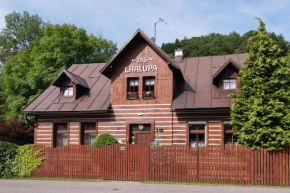 Отель Chalupa 246  Врхлаби